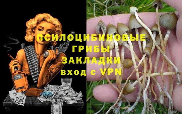 прущая мука Алексеевка
