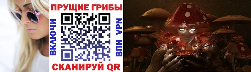 Галлюциногенные грибы MAGIC MUSHROOMS  где купить наркотик  Билибино 